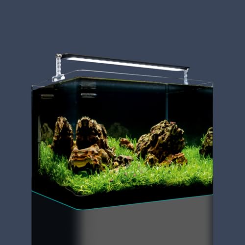 dennerle-nano-tank-basic-55-l-aquarium-verre-55-litres image 8