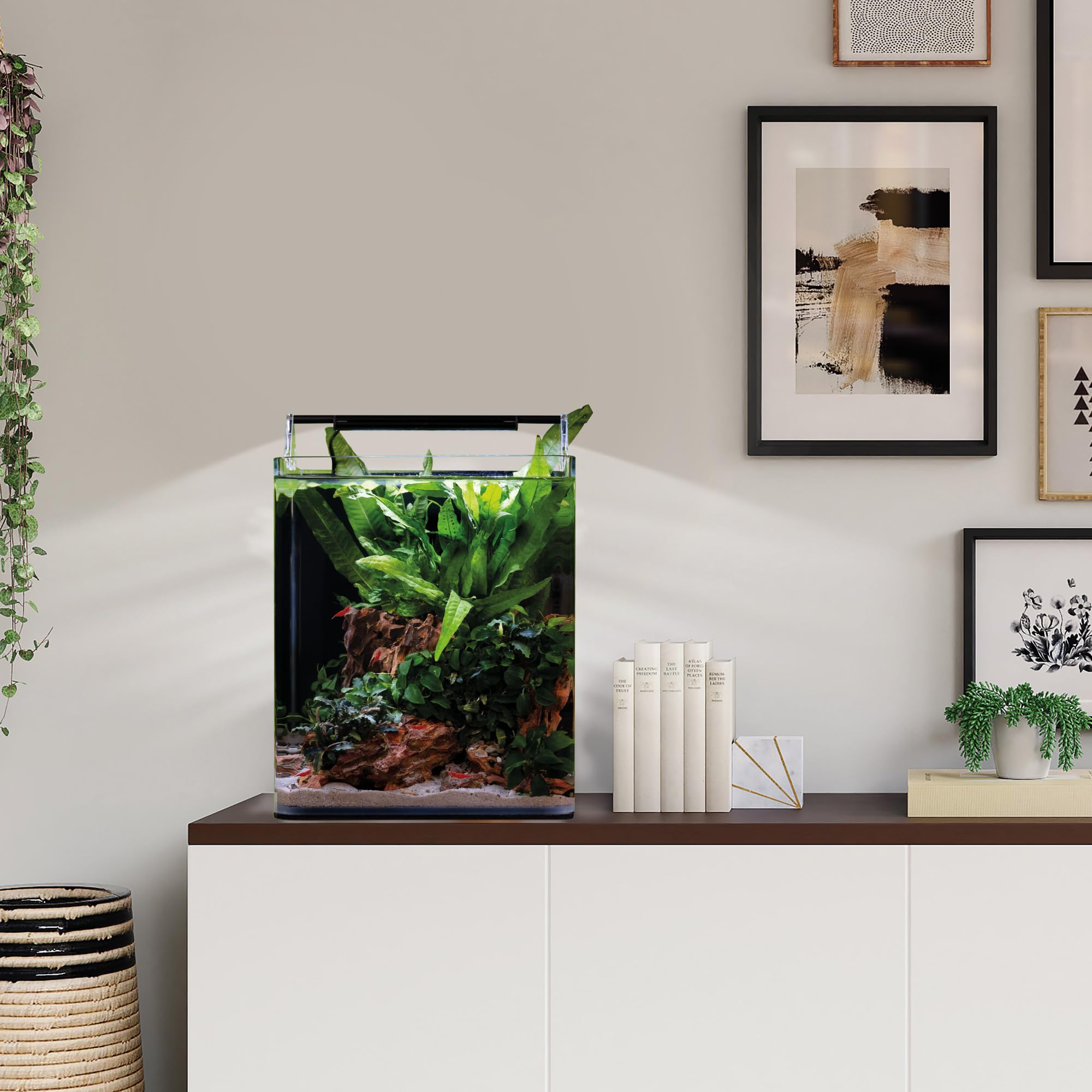 dennerle-nano-cube-complete-20-litres-aquarium-crevettes image 4