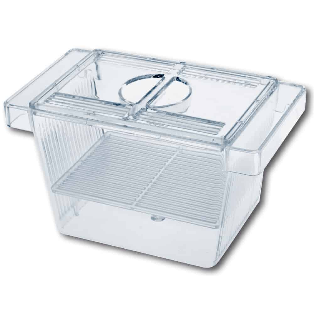 amtra-sala-parto-3-en-1-pondoir-aquarium-small image 1