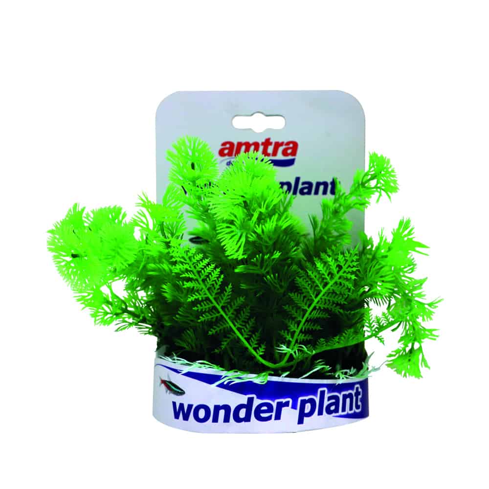 amtra-wonder-plant-s-rie-c-plante-aquarium-15-18-cm-plastique image 5