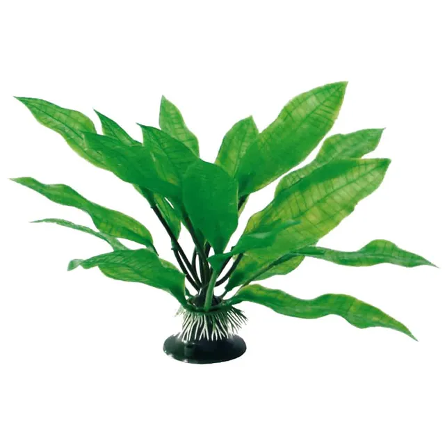 amtra-plant-classic-echinodorus-plante-aquarium-17-cm image 1