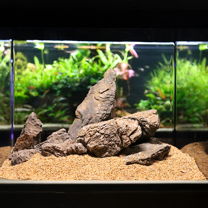 amtra-reef-rock-roche-pagoda-pierre-naturelle-aquascaping image 4