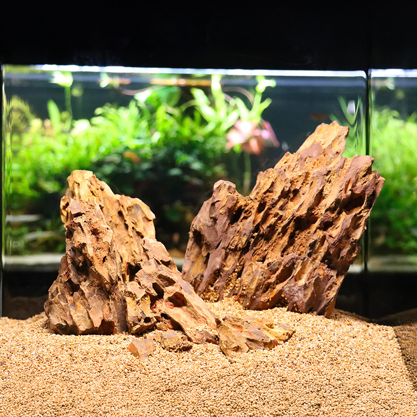 amtra-reef-rock-bamboo-roche-aquarium-naturelle image 4