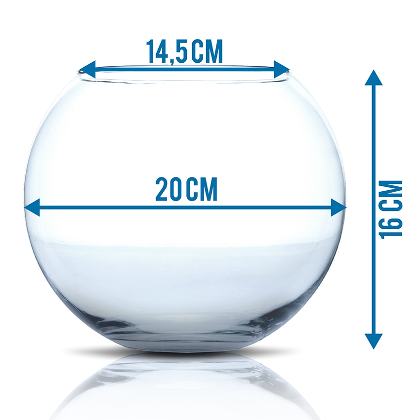 amtra-biocell-crystal-globe-aquarium-boule-verre-design image 7