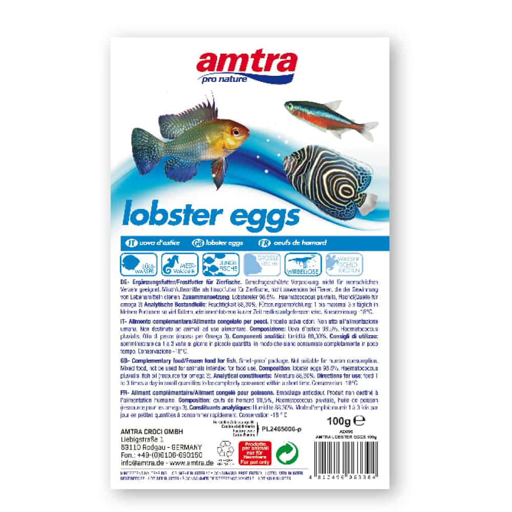 amtra-frost-oeufs-homard-nourriture-poisson-100-g image 1