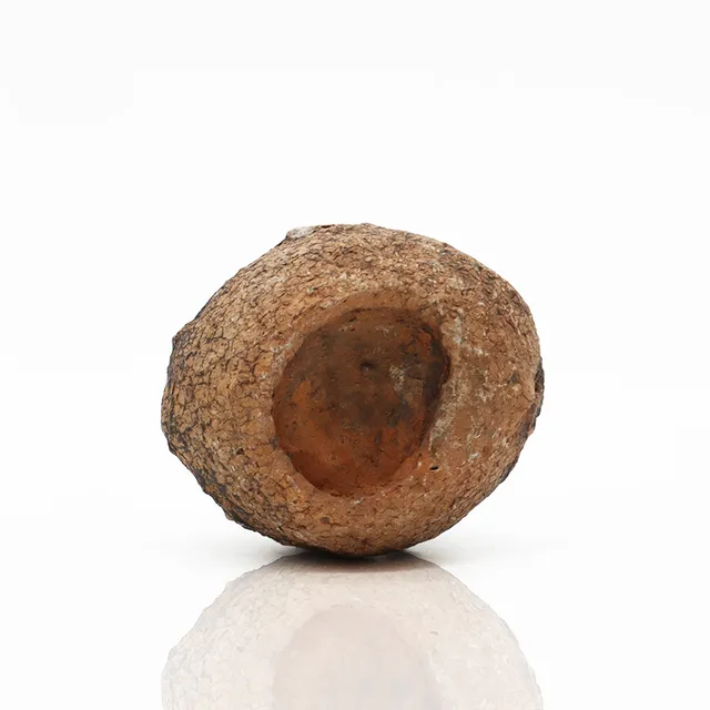 amtra-frost-uova-dinosauro-roche-aquarium-naturelle-0-6-2-kg image 1