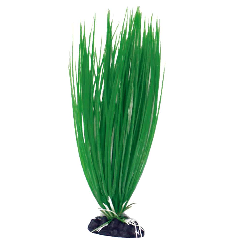 amtra-plant-classic-acorus-plante-aquarium-plastique-verte-sm-13-cm image 1