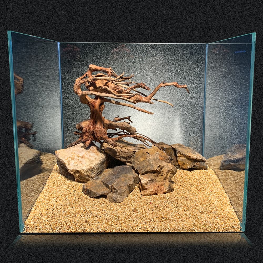 amtra-oriental-wind-6-bonsa-bois-aquarium-caridina-sm image 2