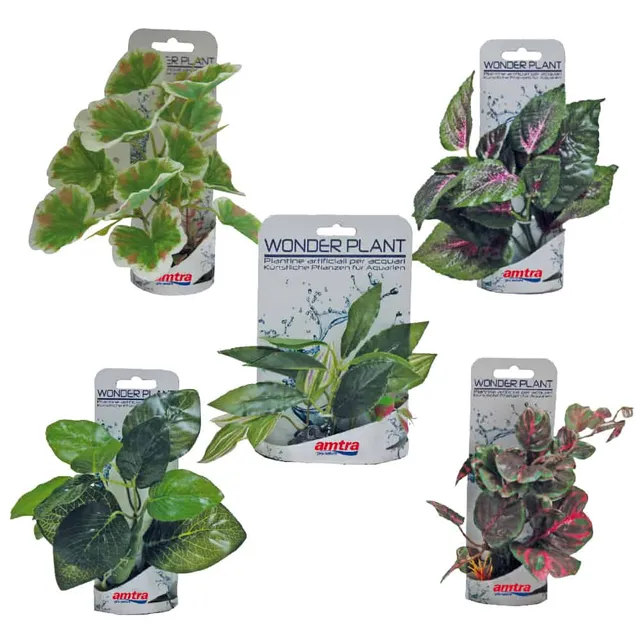 amtra-wonder-plant-series-b-plante-aquarium-15-18-cm image 1