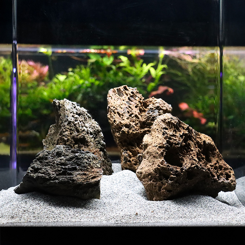 amtra-roccia-vulcanica-roche-aquarium-naturelle-10-20-cm image 4