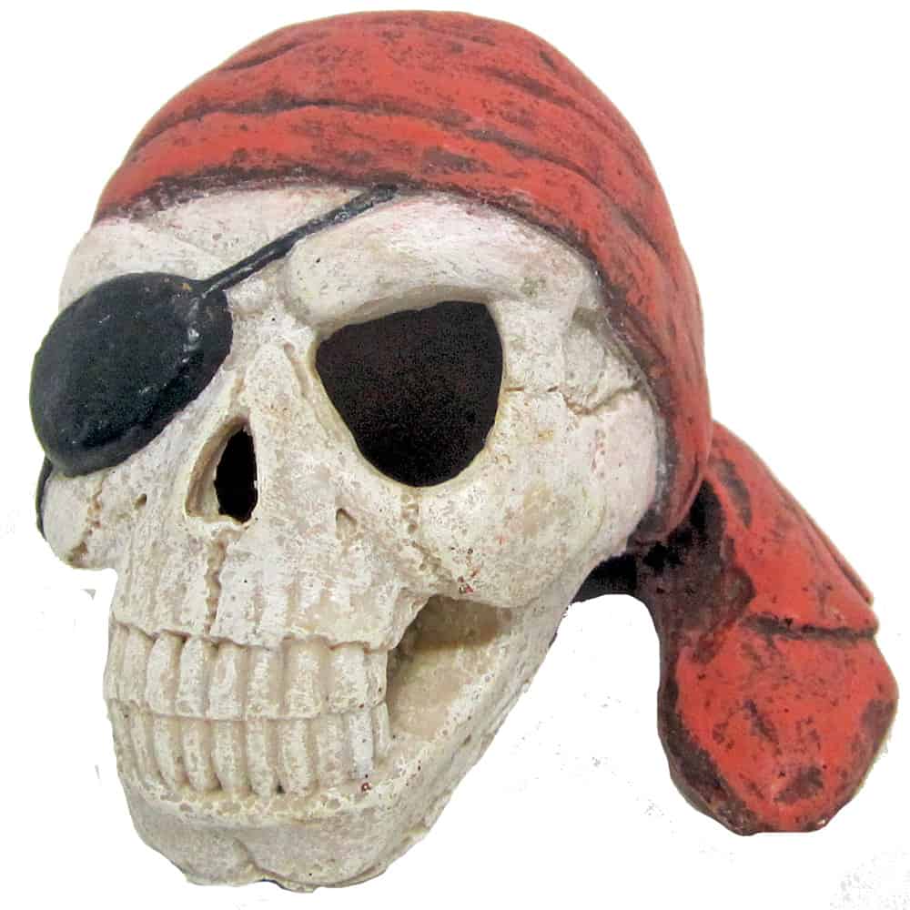amtra-reef-rock-cr-ne-pirate-d-co-aquarium-r-sine-7-cm image 1