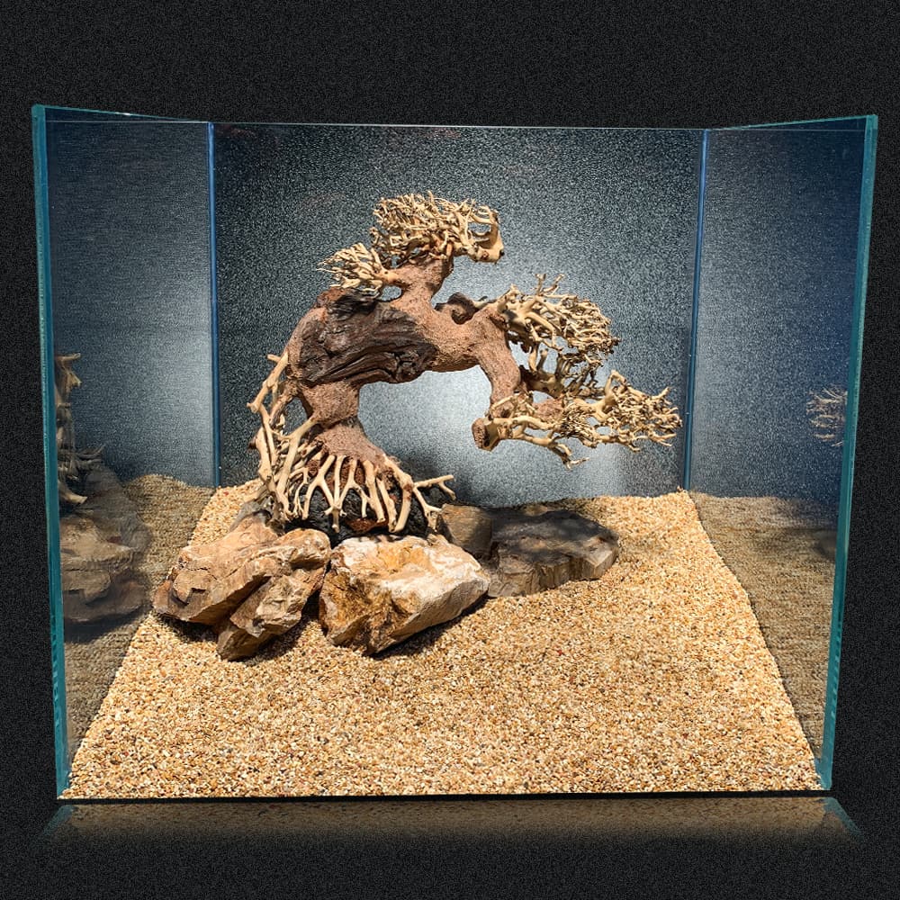 amtra-reef-rock-oriental-wind-7-racine-aquarium-bois image 2