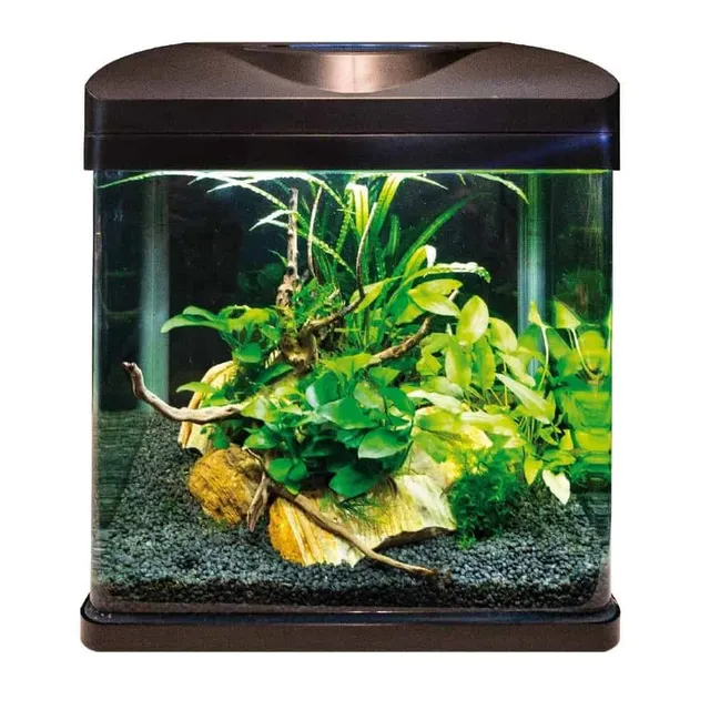 amtra-laguna-led-aquarium-verre-18-litres-avec-filtre image 1