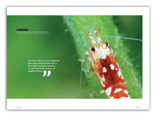 dennerle-plants-breeders-keepers-magazine-crevettes-vol-1 image 7