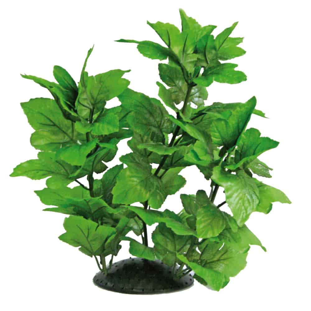 amtra-plant-replica-hygrophila-30-cm-plante-artificielle-verte image 1
