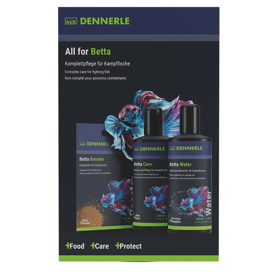 dennerle-all-for-betta-soin-poisson-combattant-kit-complet image 1