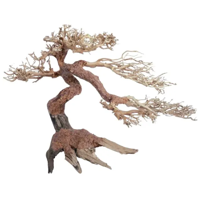 amtra-oriental-wind-5-d-cor-aquarium-bois-naturel image 1