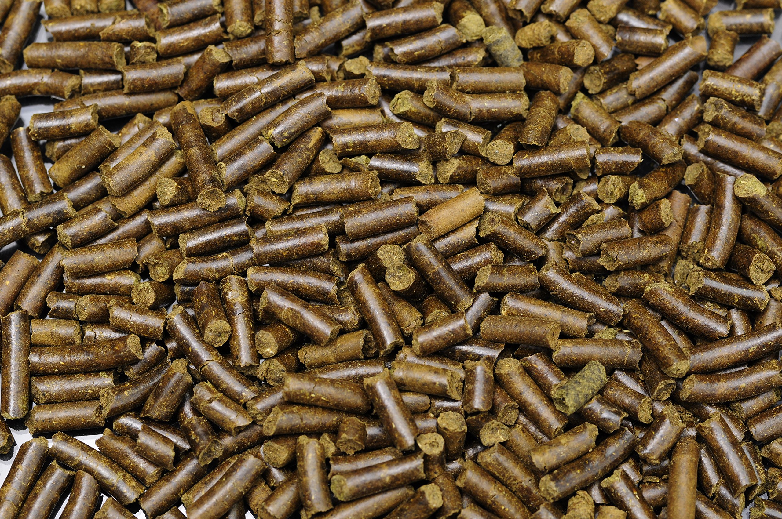 dennerle-shrimp-king-snailstixx-nourriture-escargots-calcium image 3