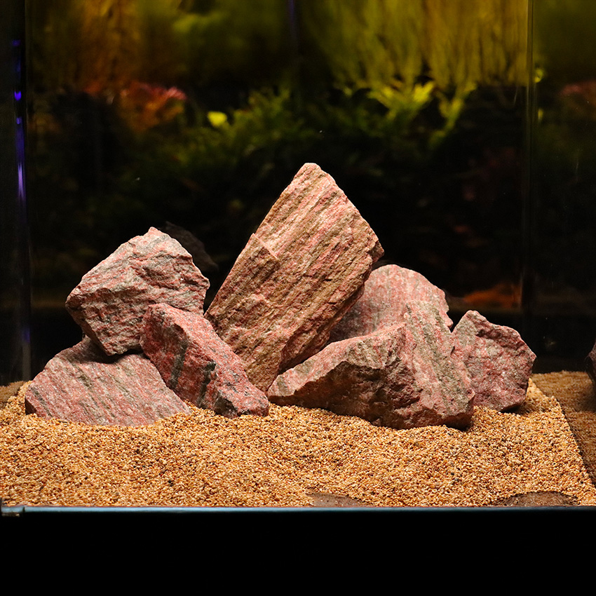 amtra-reef-rock-roche-bois-fossile-10-20-cm-aquascaping image 5