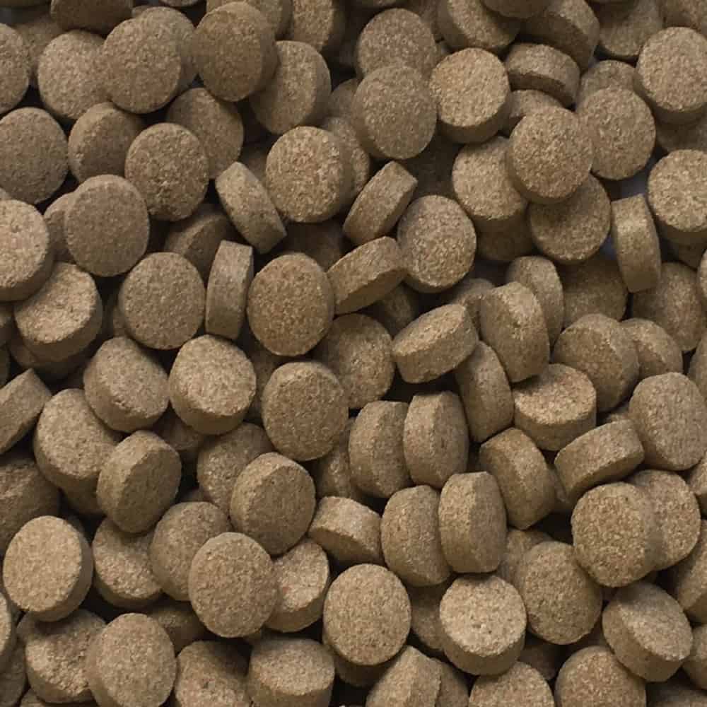 amtra-frost-pro-tabs-pastilles-poisson-de-fond-spiruline image 2
