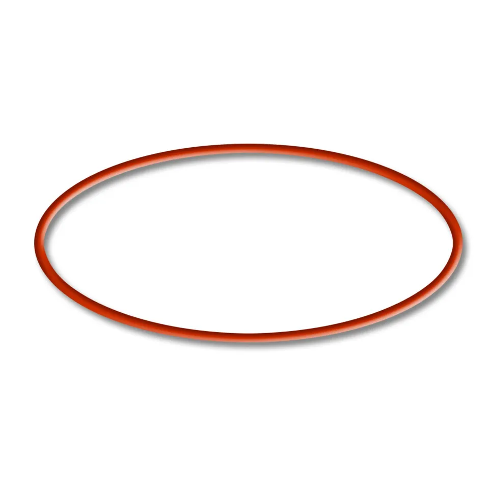 sunsun-spare-parts-joint-torique-3-cbf-200t-pi-ce-filtre-bassin image 1