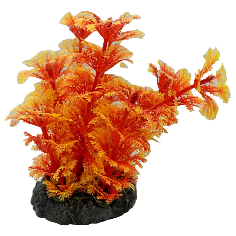 amtra-tropical-plant-plante-artificielle-8-cm-d-cor image 6