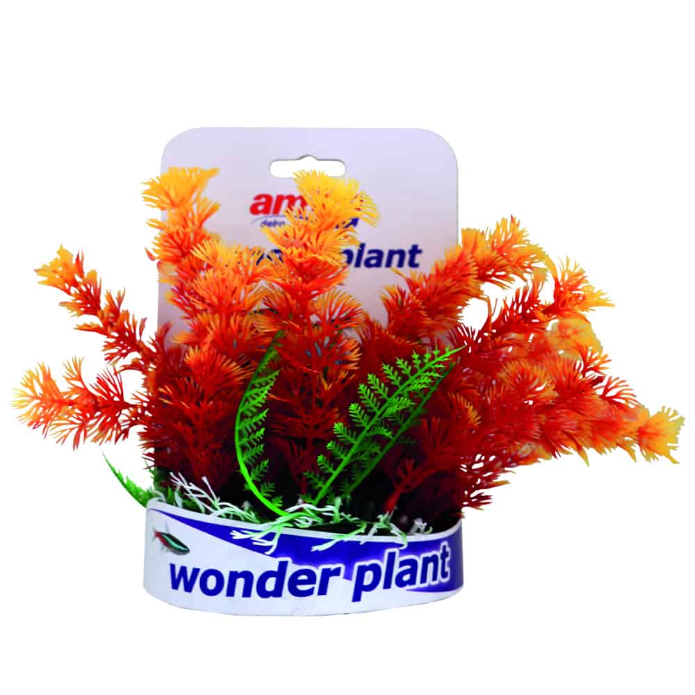 amtra-wonder-plant-s-rie-c-plante-aquarium-15-18-cm-plastique image 2