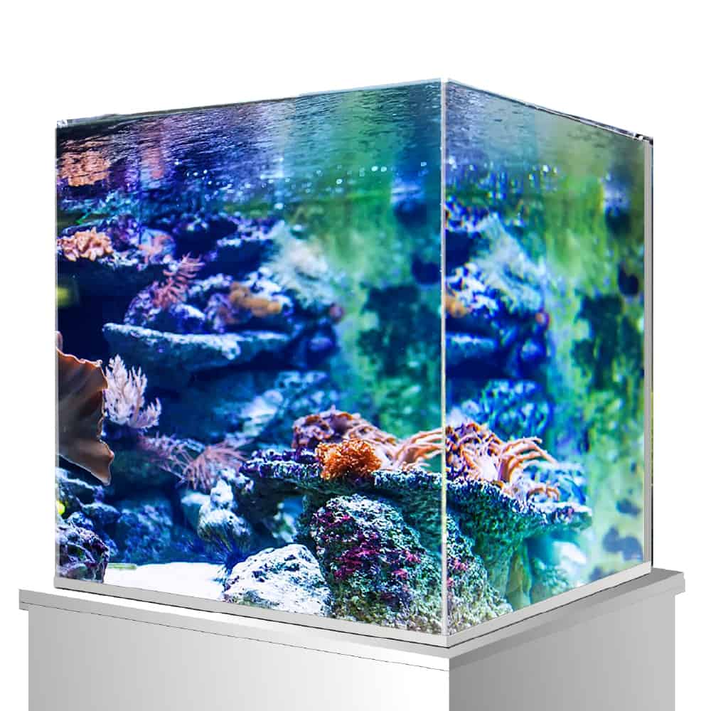 amtra-nanotank-system-nanoscaping-aquarium-verre-15-l image 4