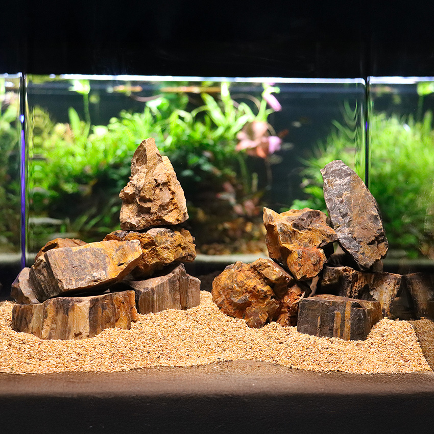 amtra-reef-rock-p-trifi-e-pierre-aquarium-aquascaping-xs image 4