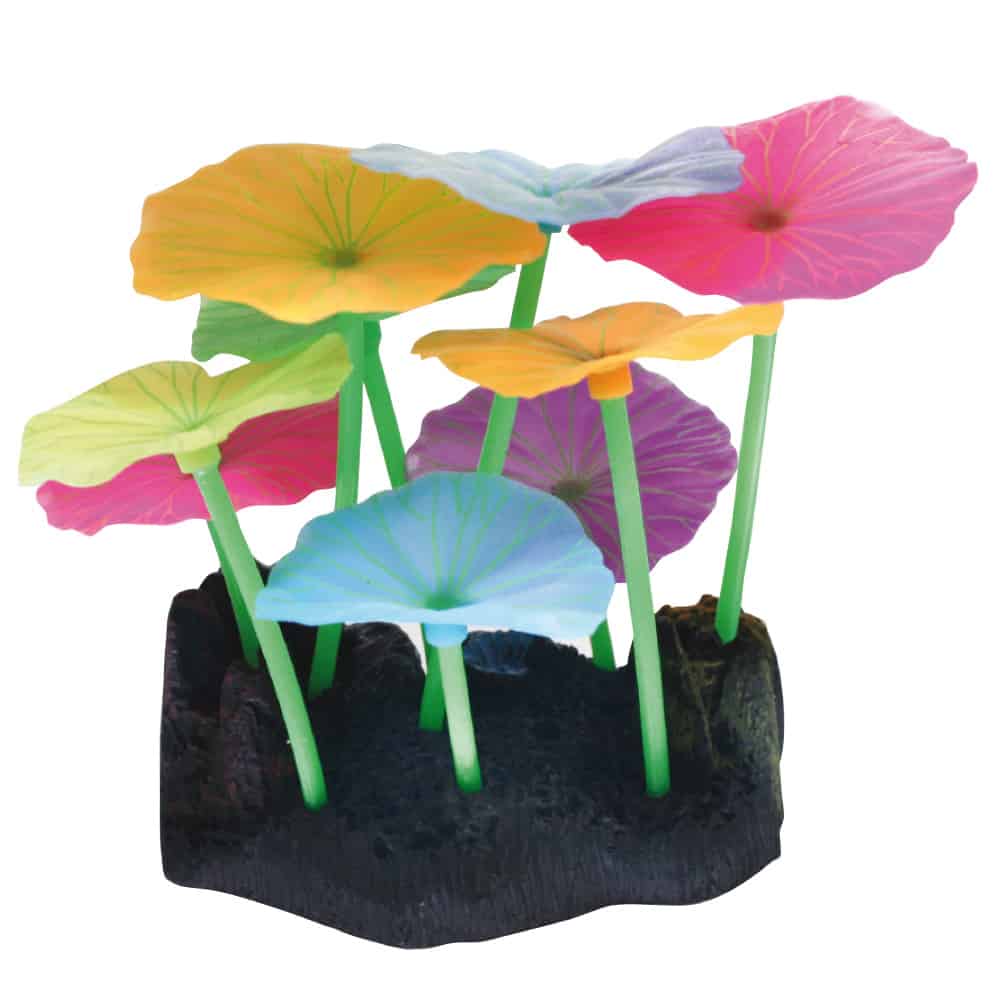 amtra-reef-rock-fluo-lotus-d-co-fluorescente-10-cm image 1