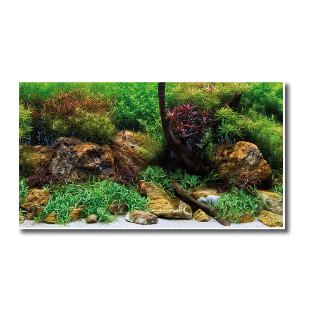 amtra-sfond-double-adventure-fond-aquarium-double-face image 2