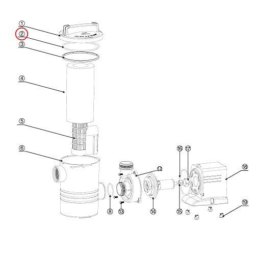 sunsun-cpp-10000f-joint-torique-1-pi-ce-piscine image 6