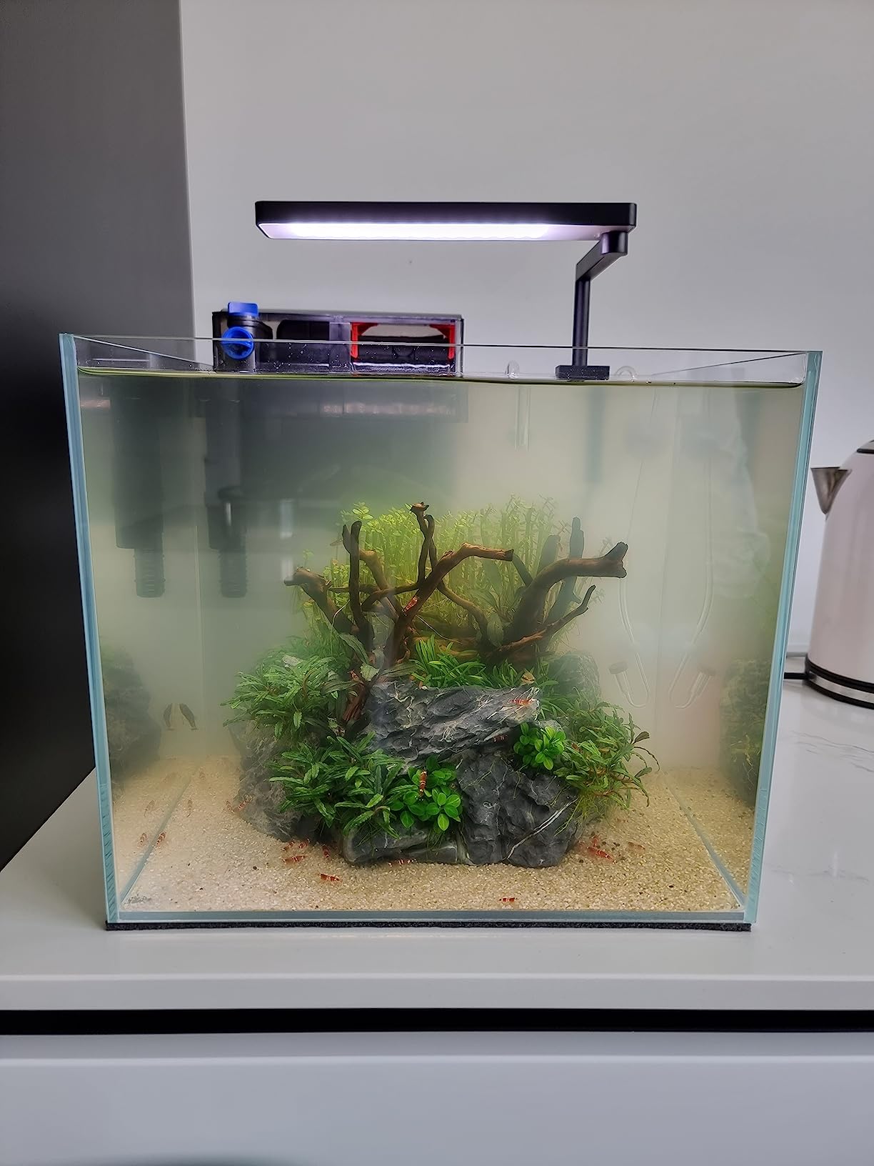 Eau verte partie